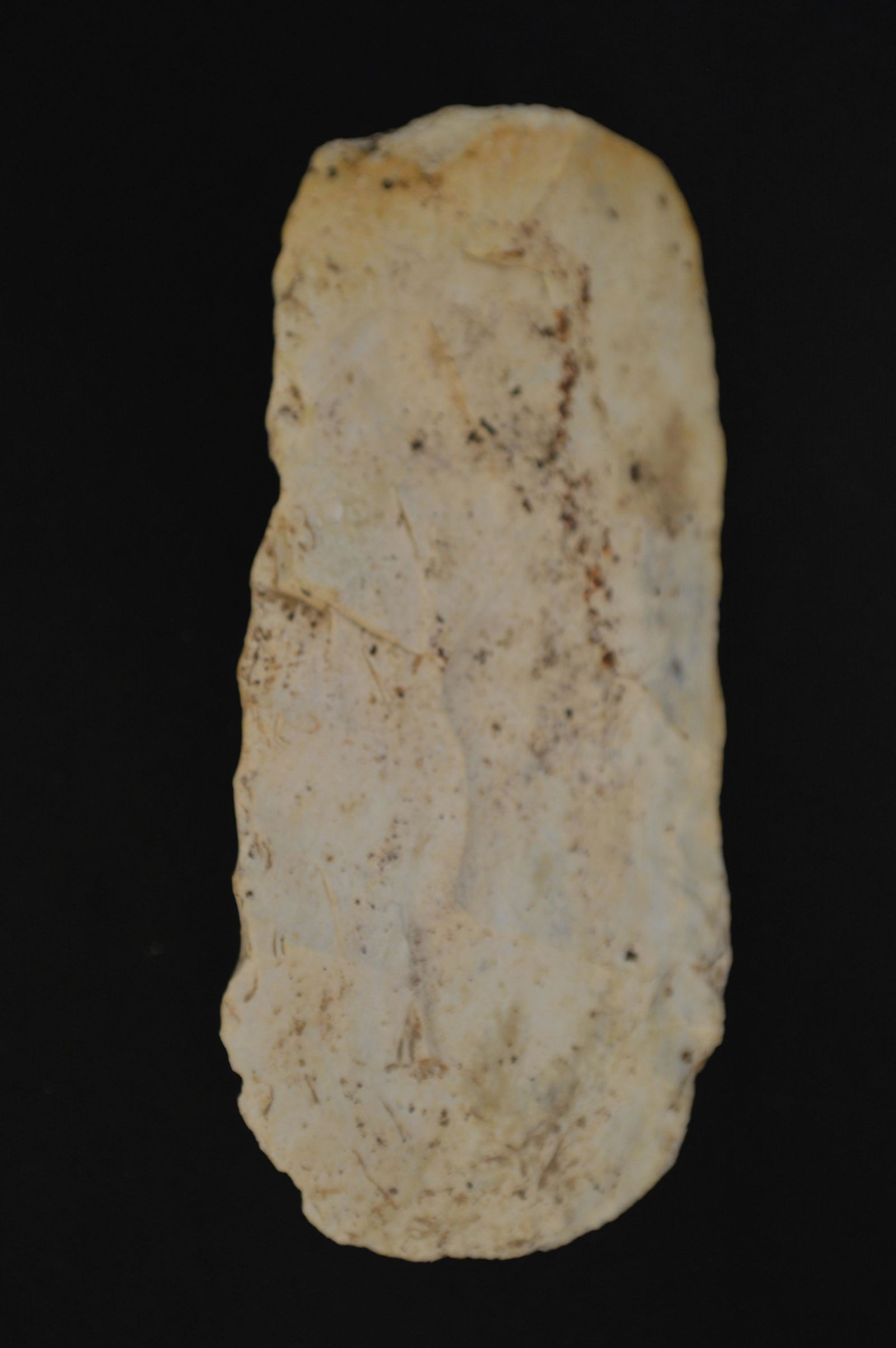 4 9/16" Humped Back Adz Found in Pike Co. Illinois Ex: Eldon Launer Collection. (1 of 9)