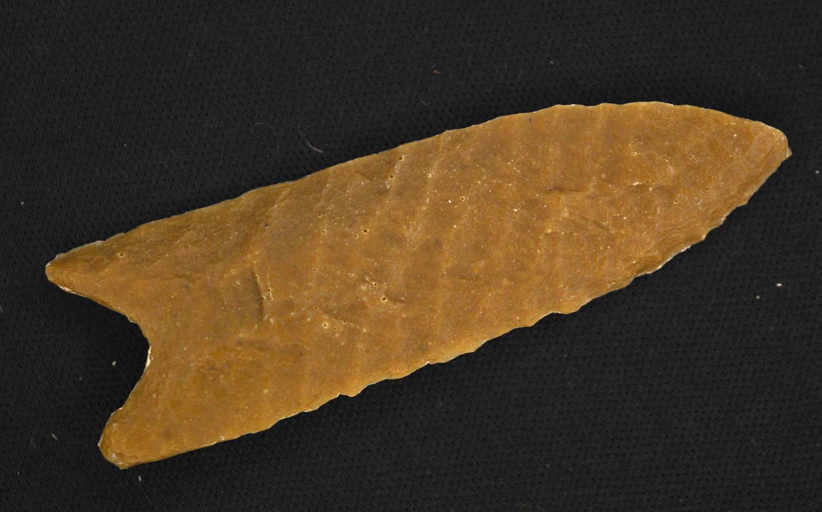 2 11/16" Allen "Cast" arrowhead from the Denver Museum of Natural History. (1 of 9)
