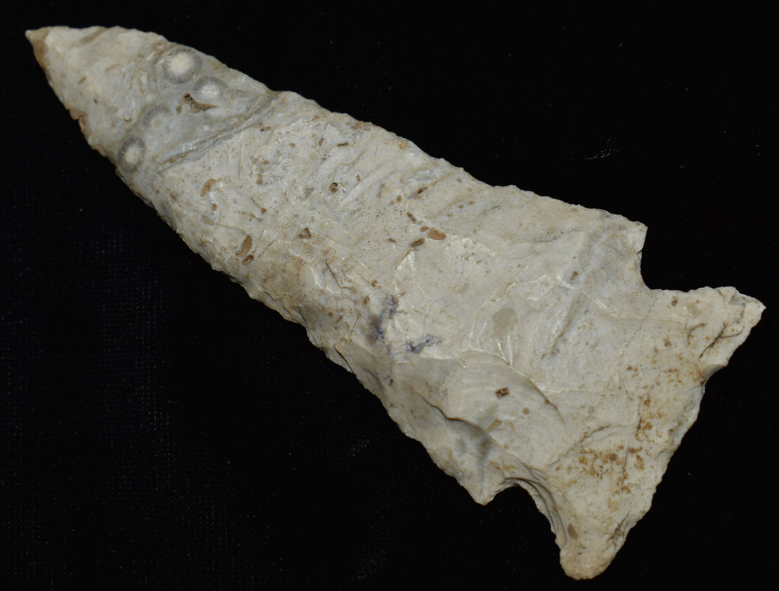 3 1/8" Stillwell found in Cooper Co, Mo by Tim Dunham (1 of 7)