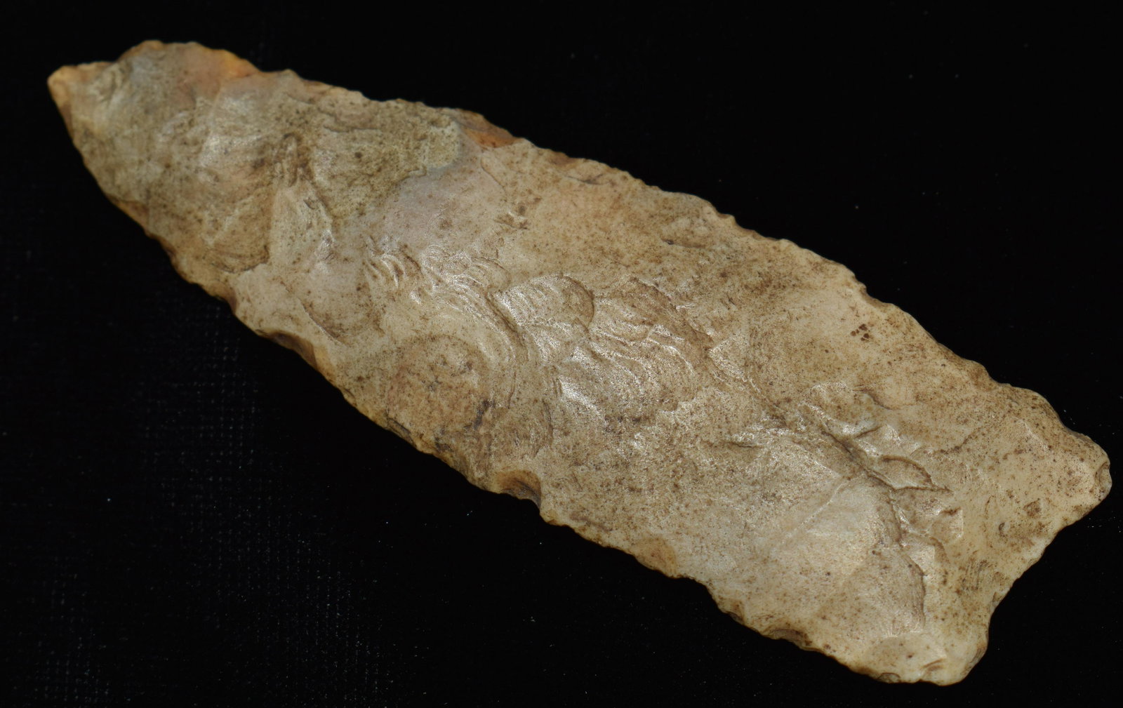 2 5/8" River Tumbled Angostura found in Cooper Co, Mo by Tim Dunham (1 of 7)