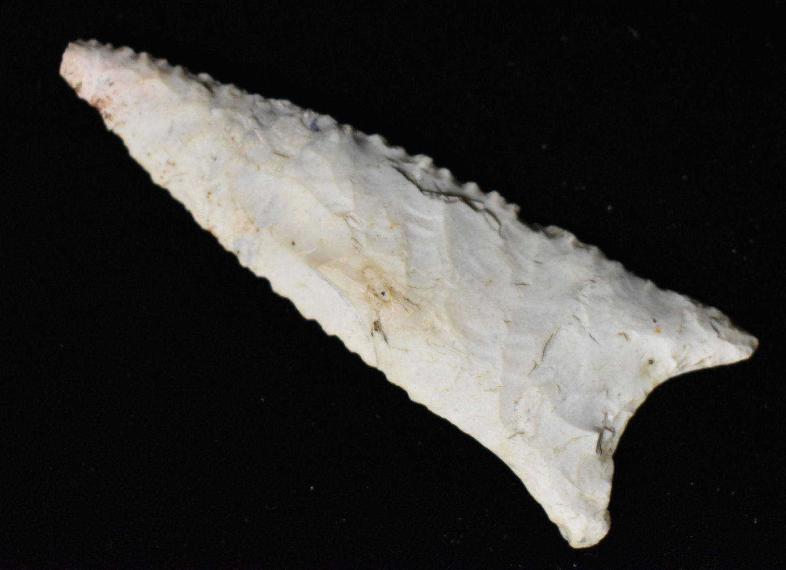 3" Burlington Dalton found in Boone Co, Mo.  Ex Ryan and Beau Leach Collection. (1 of 5)