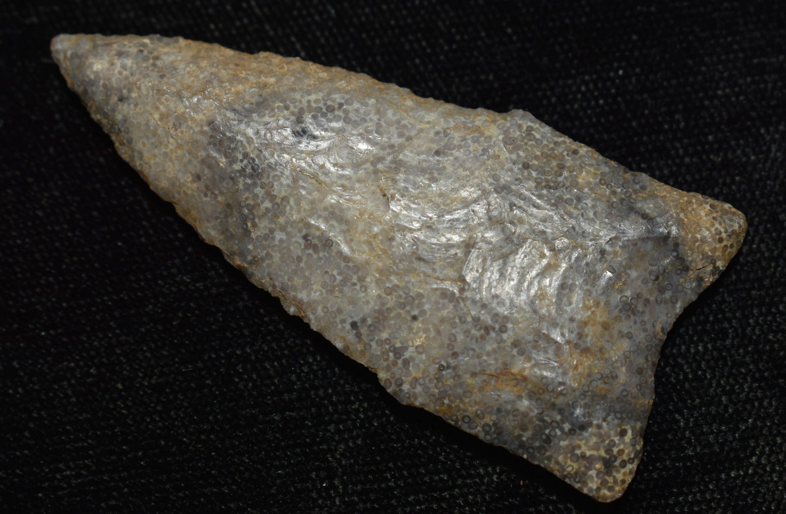 Very Fine 2 3/8" Oolithic Mozarkite Dalton found in Cooper Co., Mo (1 of 7)