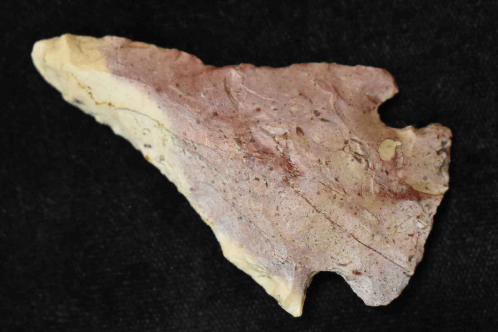 2 3/8" Colorful Woodland Arrowhead found in Boone Co., Mo Ex Ryan and Beau Leach Collection (1 of 7)