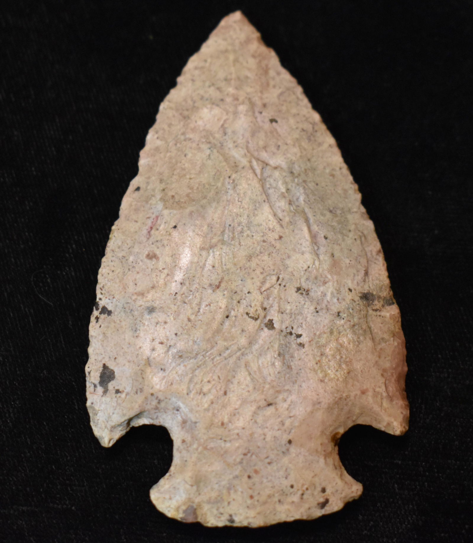 3 1/8" Superb Snyders Pictured in Who's Who 10 w/ Keele COA (1 of 8)