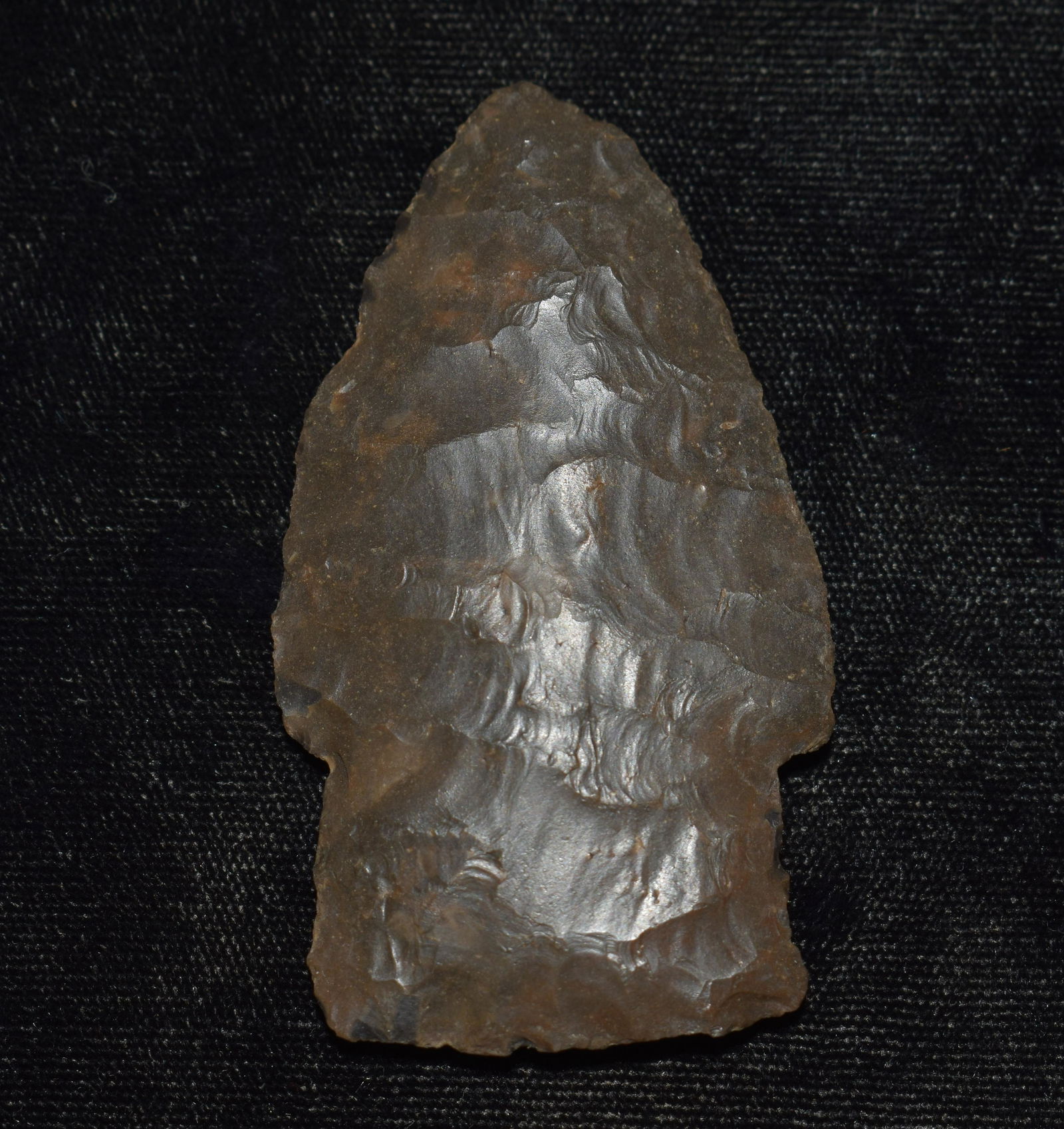 2 11/16" Scottsbluff Made of Woodford Chert found in Angelina, TX 3x COA's (1 of 11)