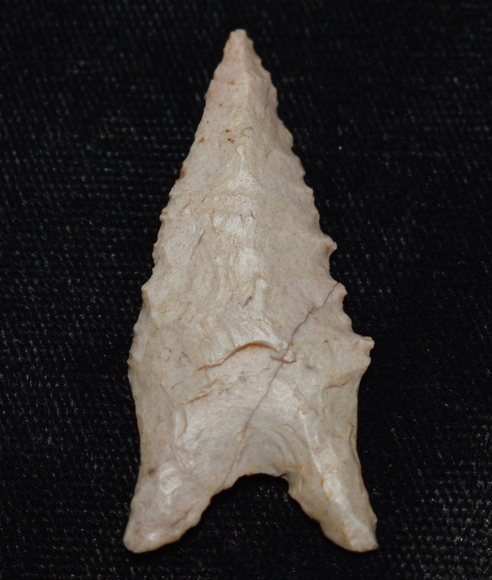 1 3/4" Choteau Serrated Dalton found in Pettis Co., Mo (1 of 7)