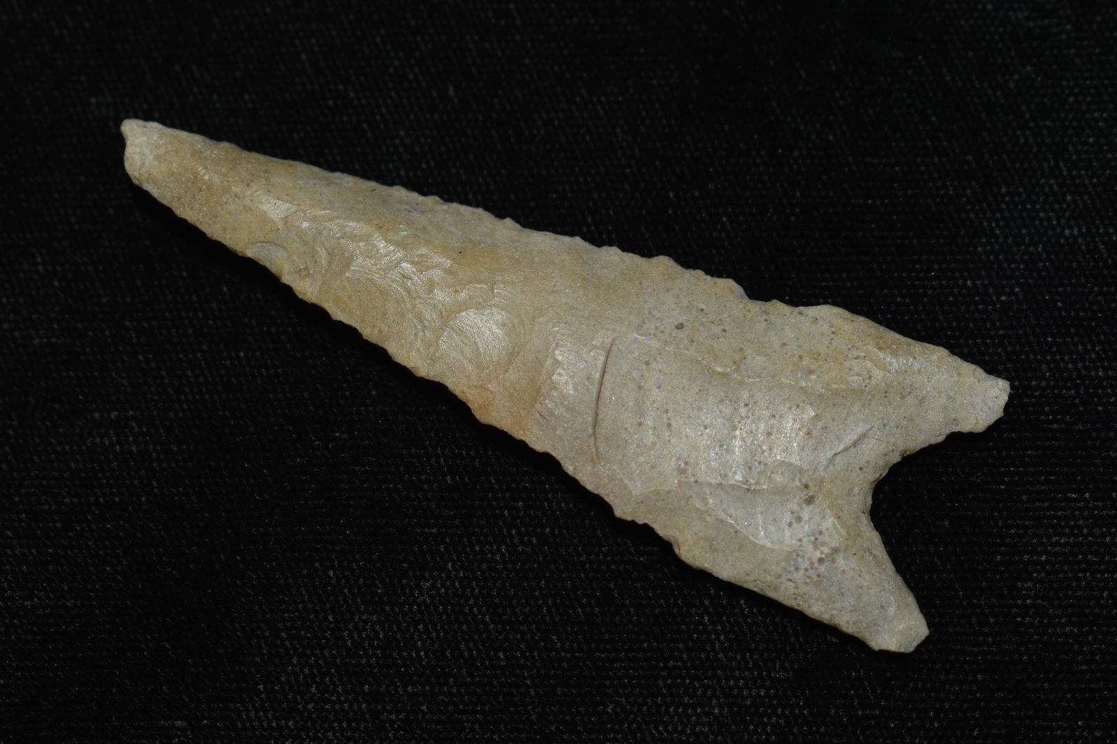 3" Fluted Oolithic Dalton found in Cooper Co., Mo (1 of 7)
