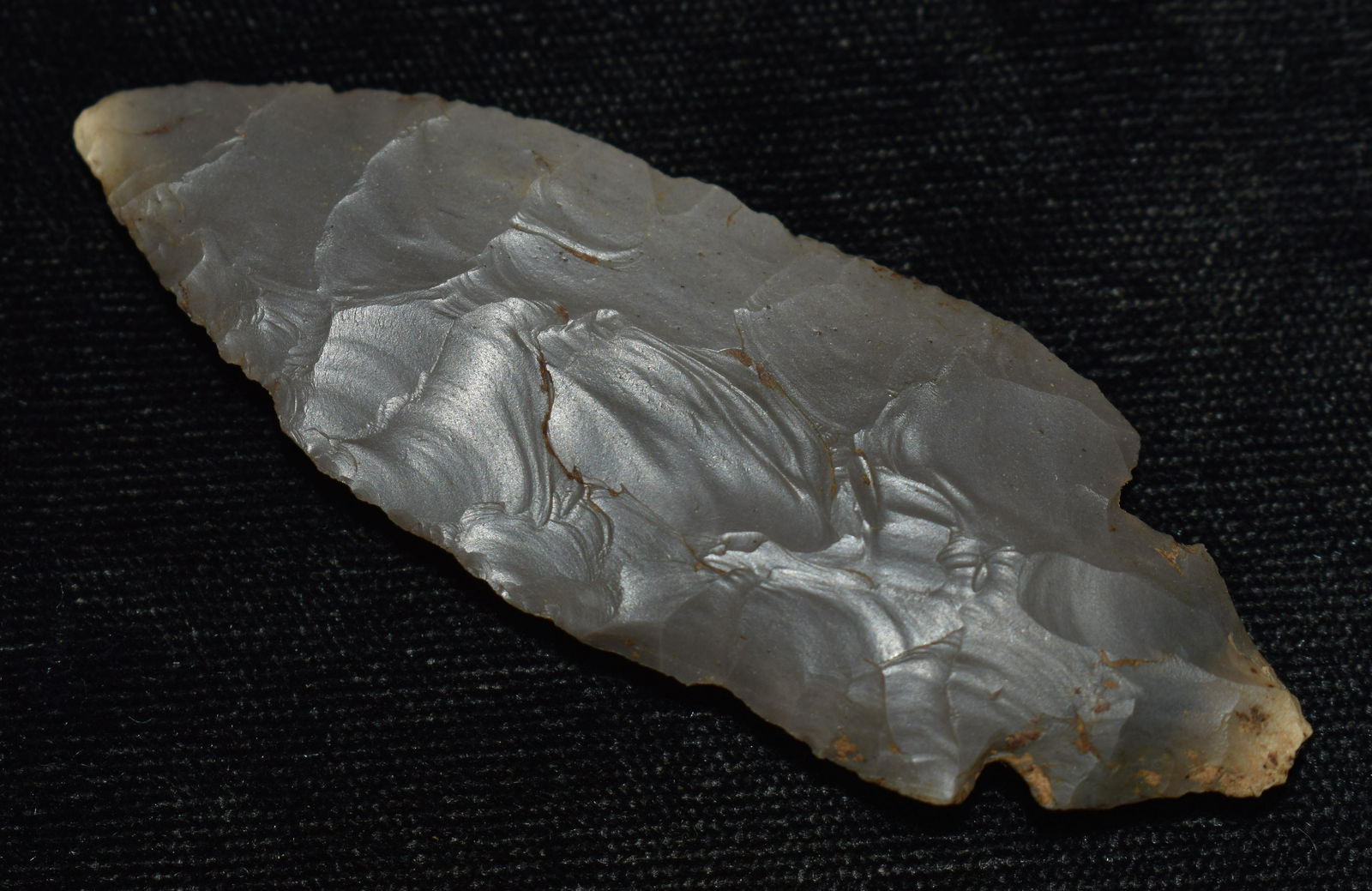 2 3/4" Harrison County Chert (Hornstone) Turkeytail w/ Keele COA (1 of 8)