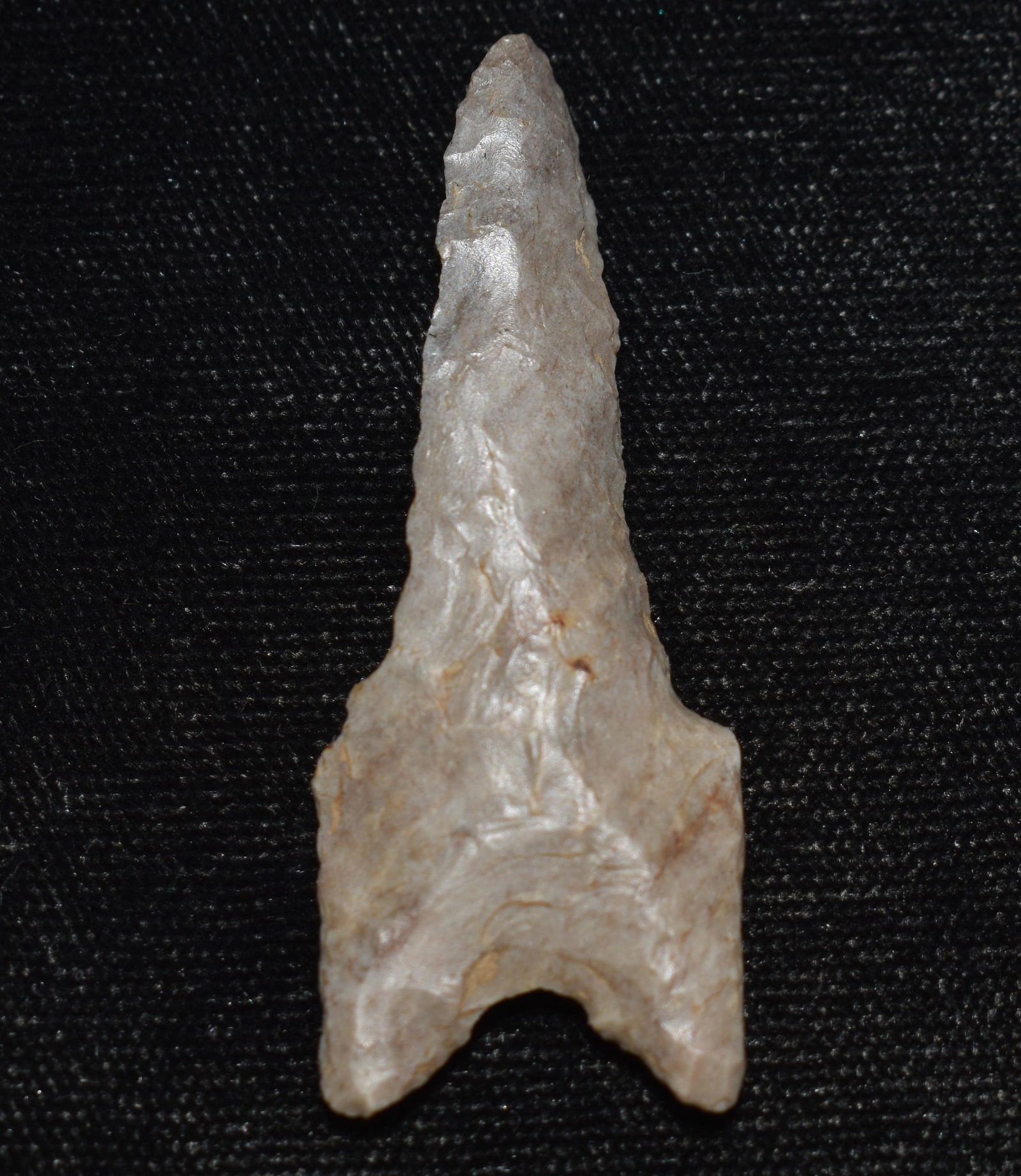 1 15/16" Choteau Dalton found in Pettis County, Mo. (1 of 7)
