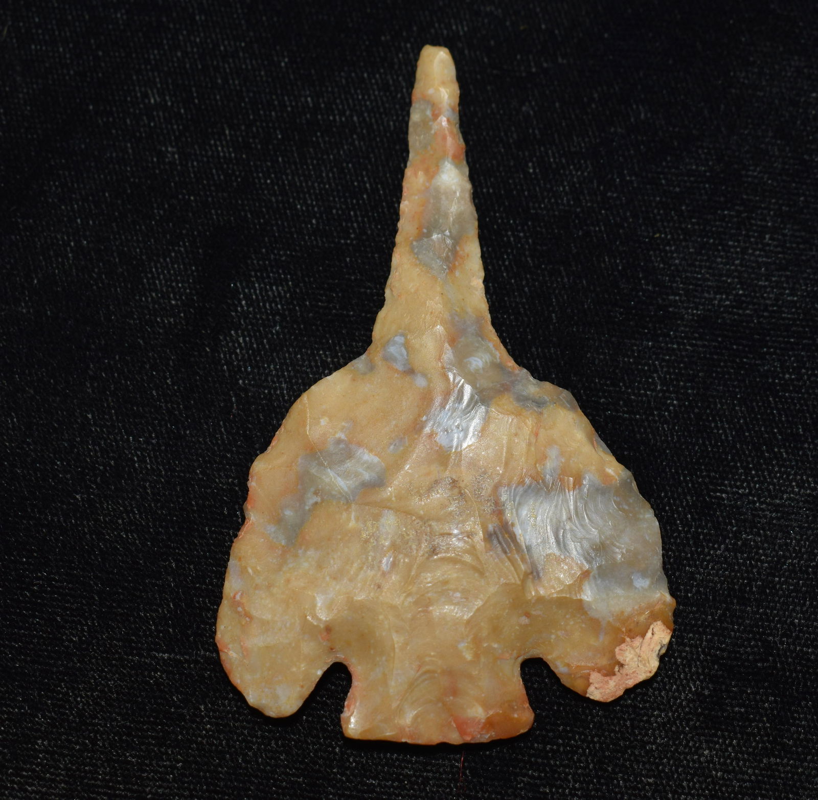 3 1/16" Base Tang Drill found in Texas w/ Keele COA (1 of 8)