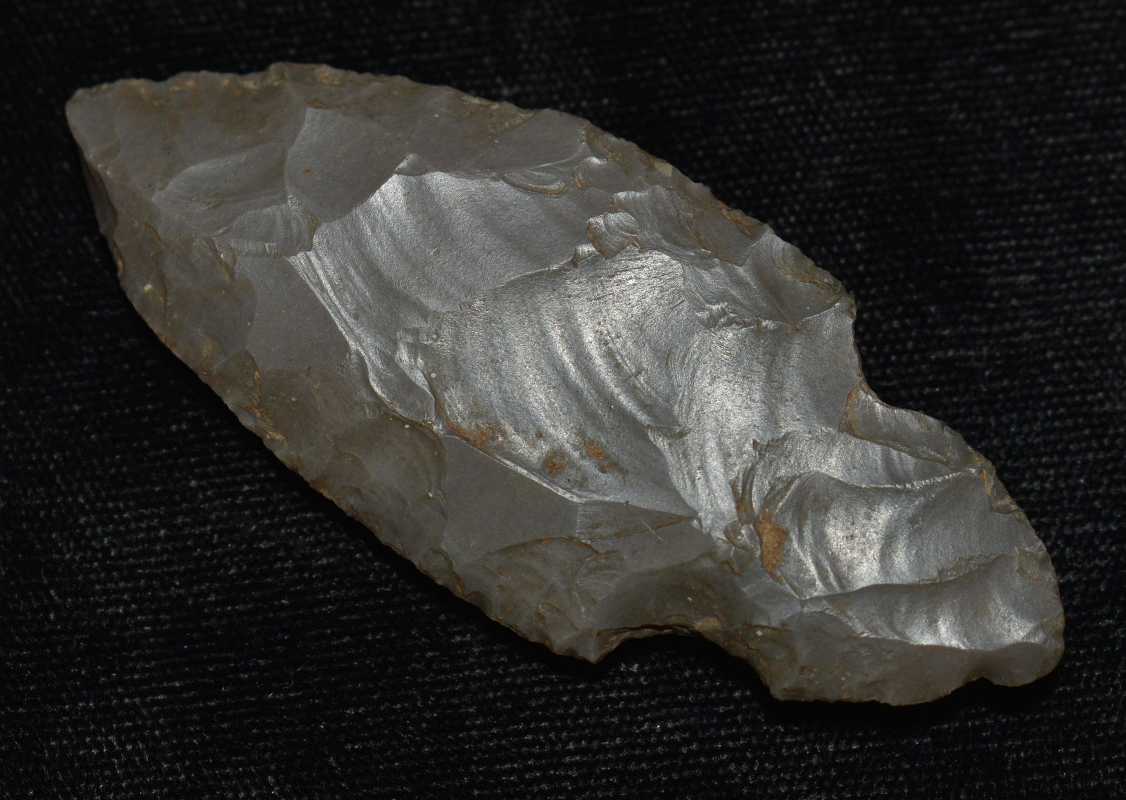 2 5/8" Harrison County Chert (Hornstone) Turkeytail w/ Keele COA (1 of 8)