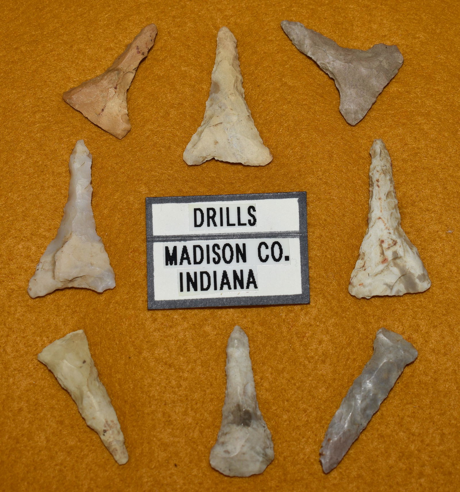 Frame of 8 Micro Drills found in Madison Co., Indiana (1 of 5)