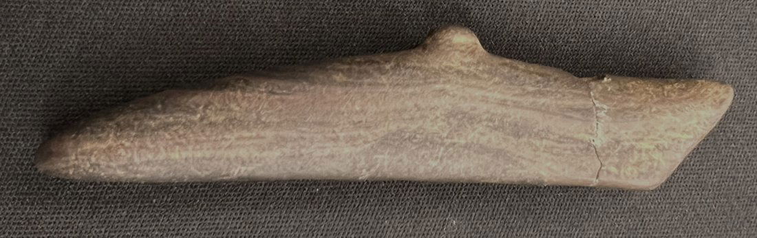 4 3/16" Spineback Gorget Keele COA "Broke & Glued" Found in Portage Co. Ohio Ex: John Bennett (1 of 11)