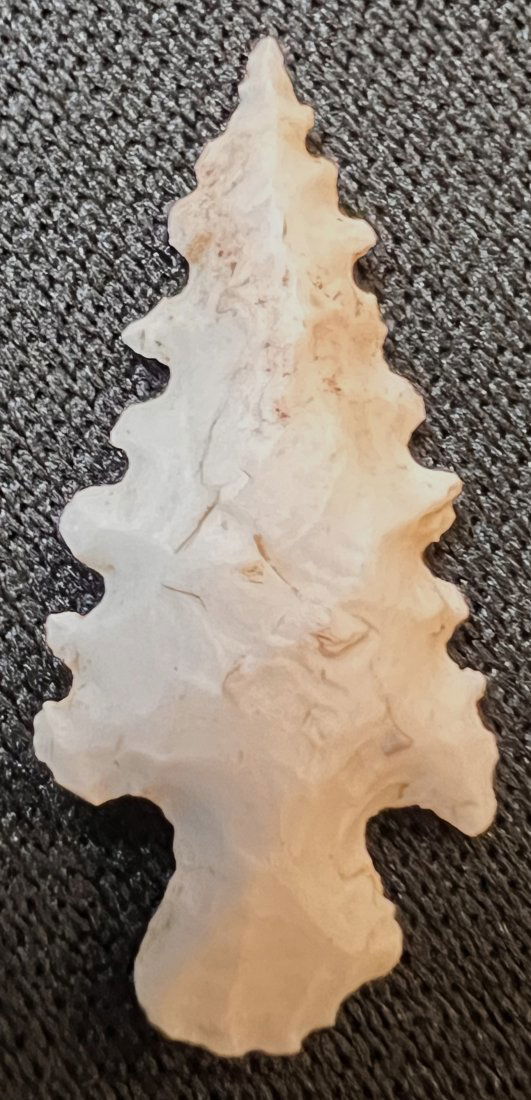 15/16" Sequoyah Bird point Found in Madison Co. Illinois. (1 of 6)