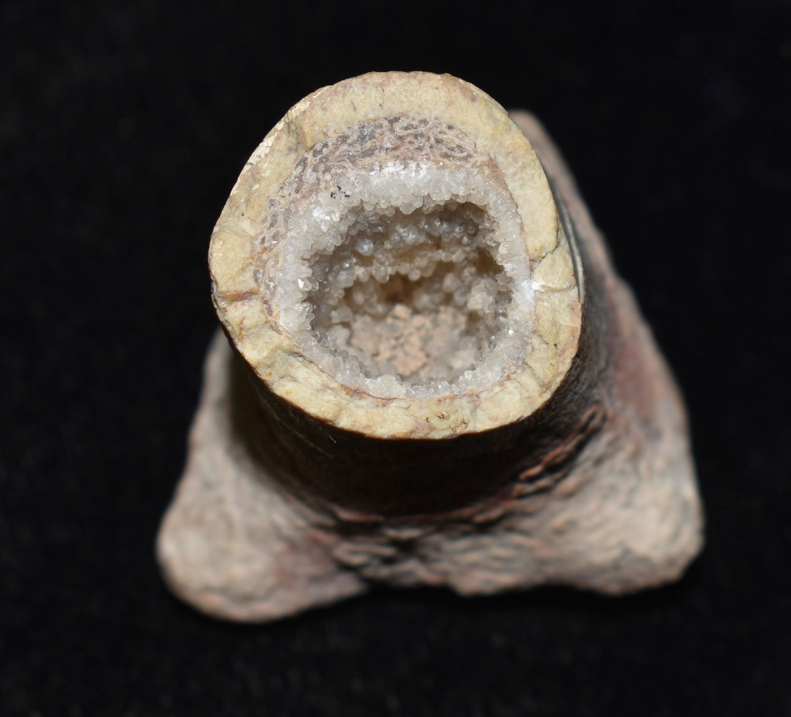 Dinasaur Leg Bone Fossil with Quartz Formation Inside: Dinasaur Leg Bone with Quartz Formation Inside. Not sure if this is rare or not. We had never seen a petrified bone with a quartz matrix inside. Interesting conversation piece. Measures 1 3/4" Long. I