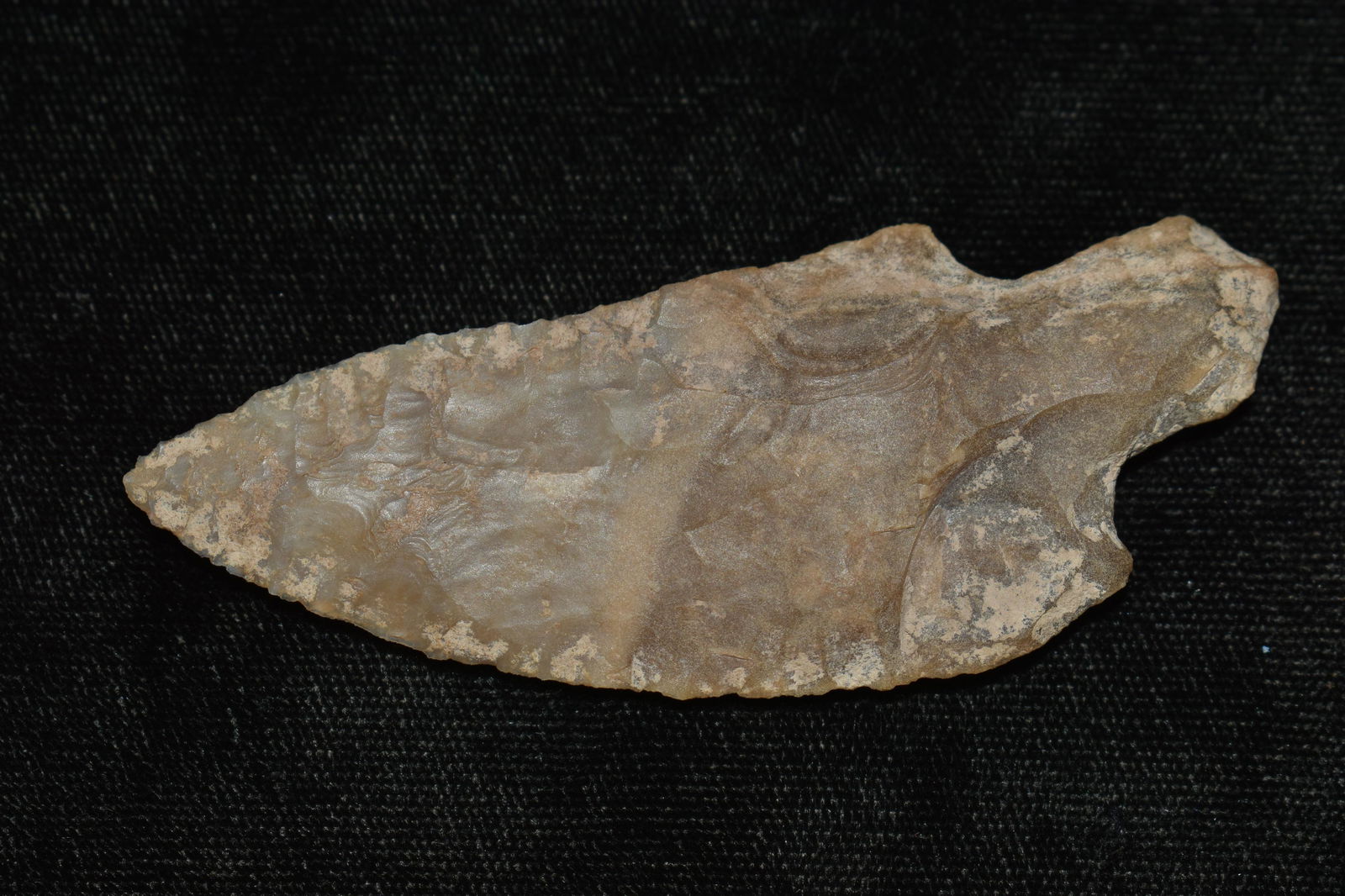 3" Archaic Tang Knife found in Morrill Co., NE w/ Dwain Rodgers COA (1 of 7)