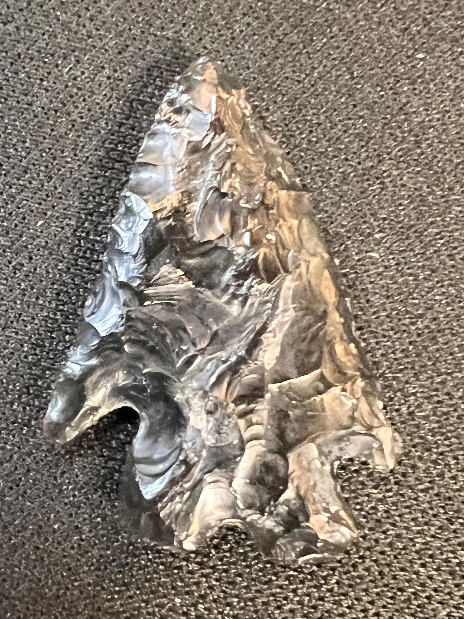 1 3/16" Elko Eared Obsidian Bird point Found in Washington. (1 of 6)