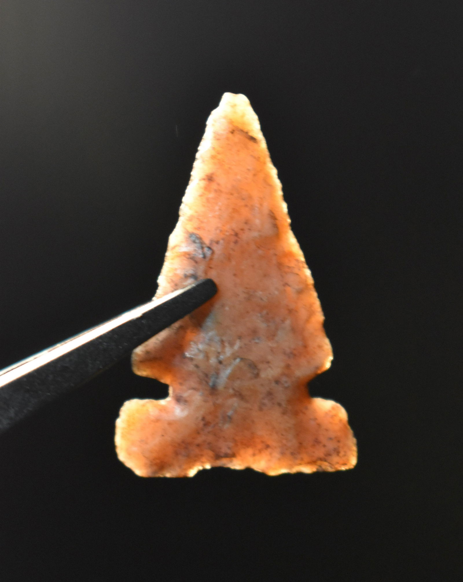 1" Agate Cut Bank Jaw - Notched found in Custer Co., Nebraska w/ Keele COA (1 of 5)