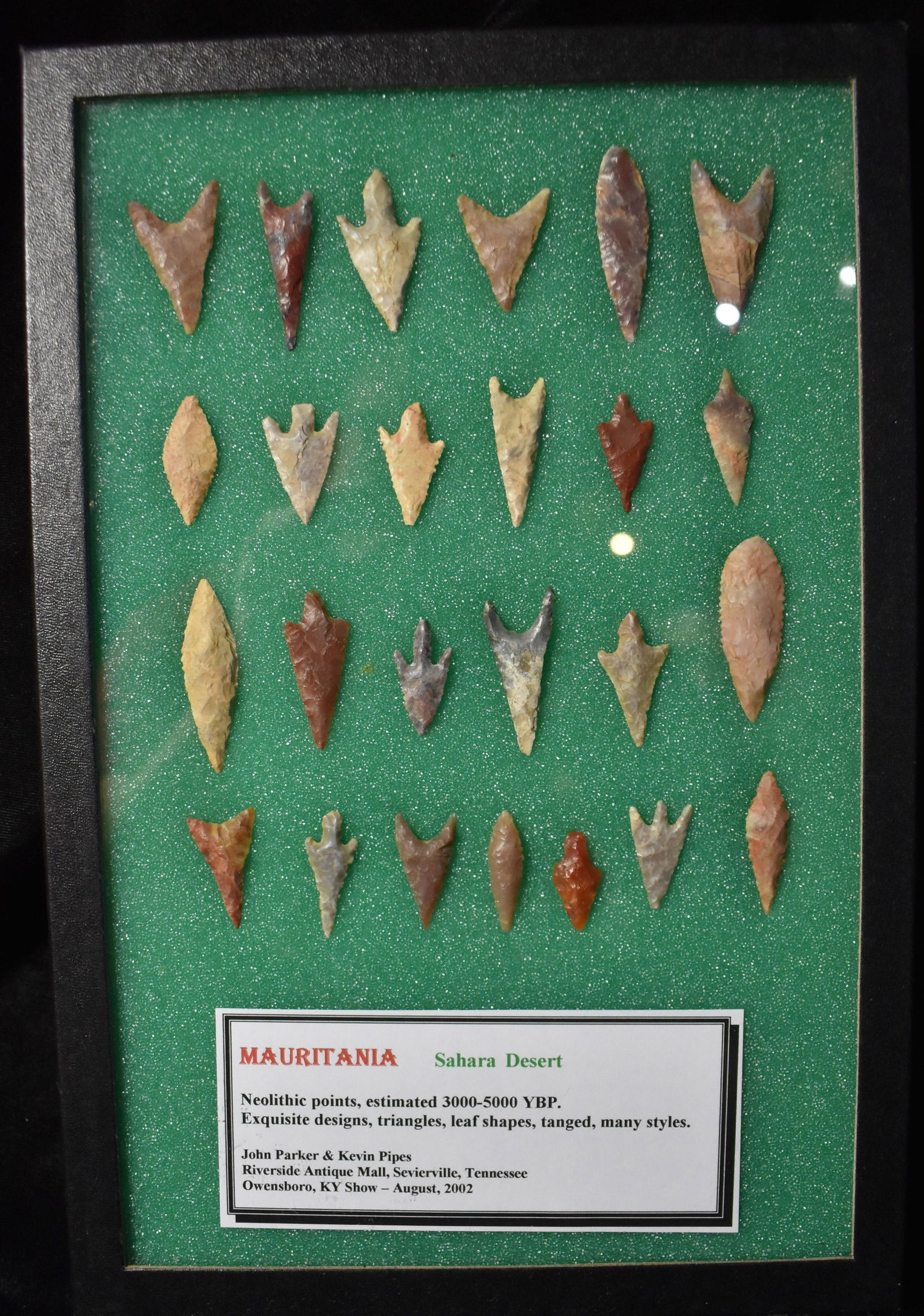 25 Neolithic Arrowheads found in the Sahara Desert (1 of 4)
