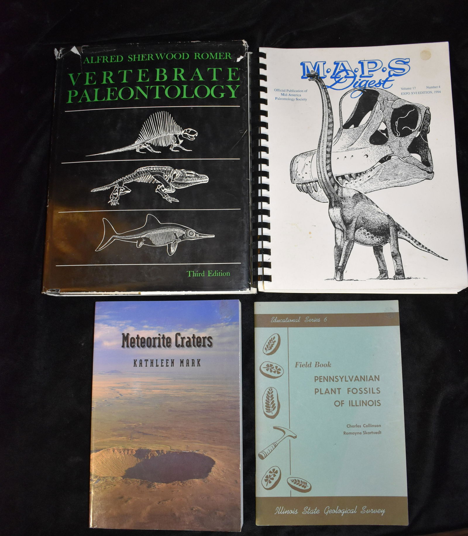 4 Dinosaur, Plant Fossil and Meteor Books (1 of 6)