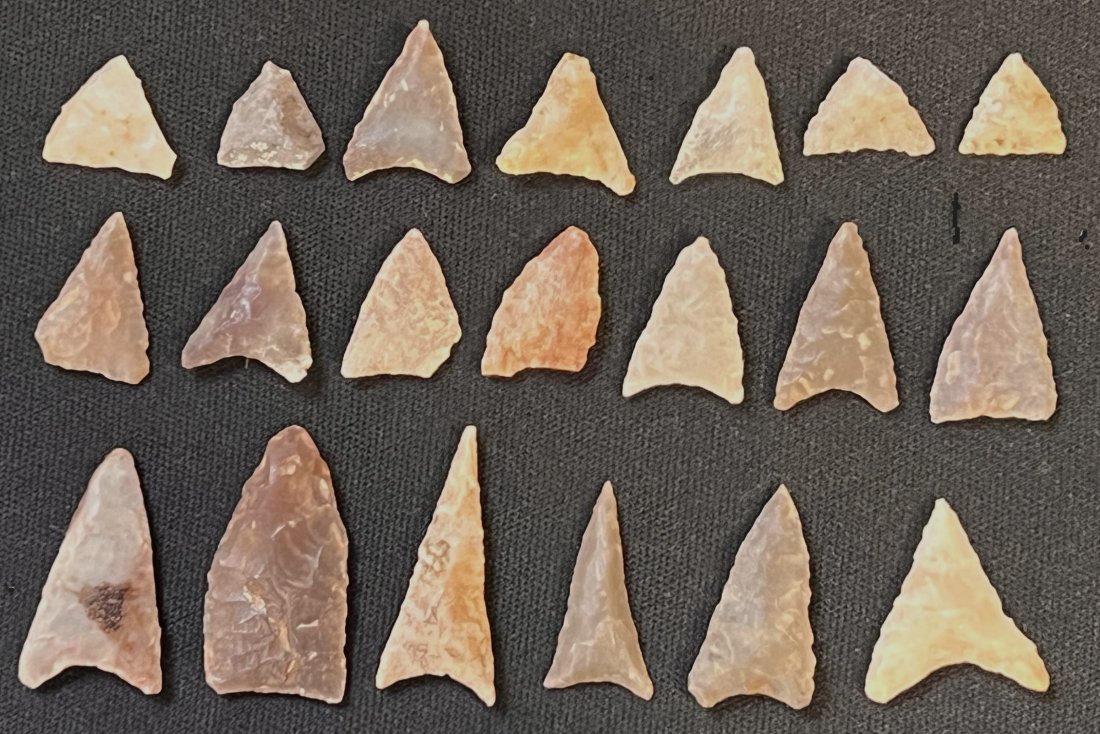 20 Bird Points Found in Kentucky Longest is 1 1/8 inches. (1 of 4)