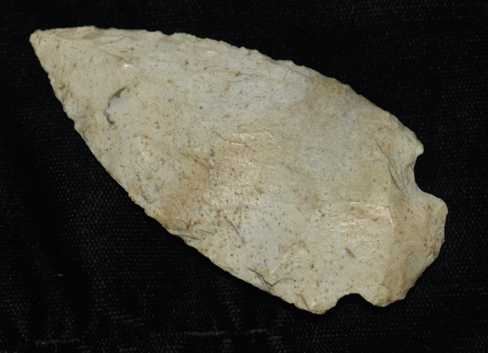 3 1/16" Etley found in Scotland County, Missouri by Rodney Gray: 3 1/16" Etley found in Scotland County, Missouri by Rodney Gray