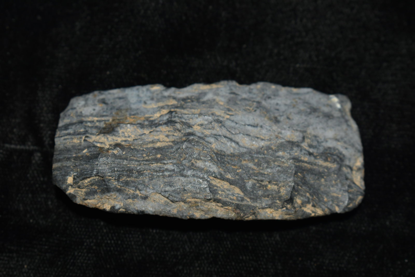 2 1/2" Nicely formed Moline Chert Celt or Wood Chisel found in Scotland Co., Missouri by Rodney Gray: 2 1/2" Nicely formed Moline Chert Celt or Wood Chisel found in Scotland Co., Missouri by Rodney Gray