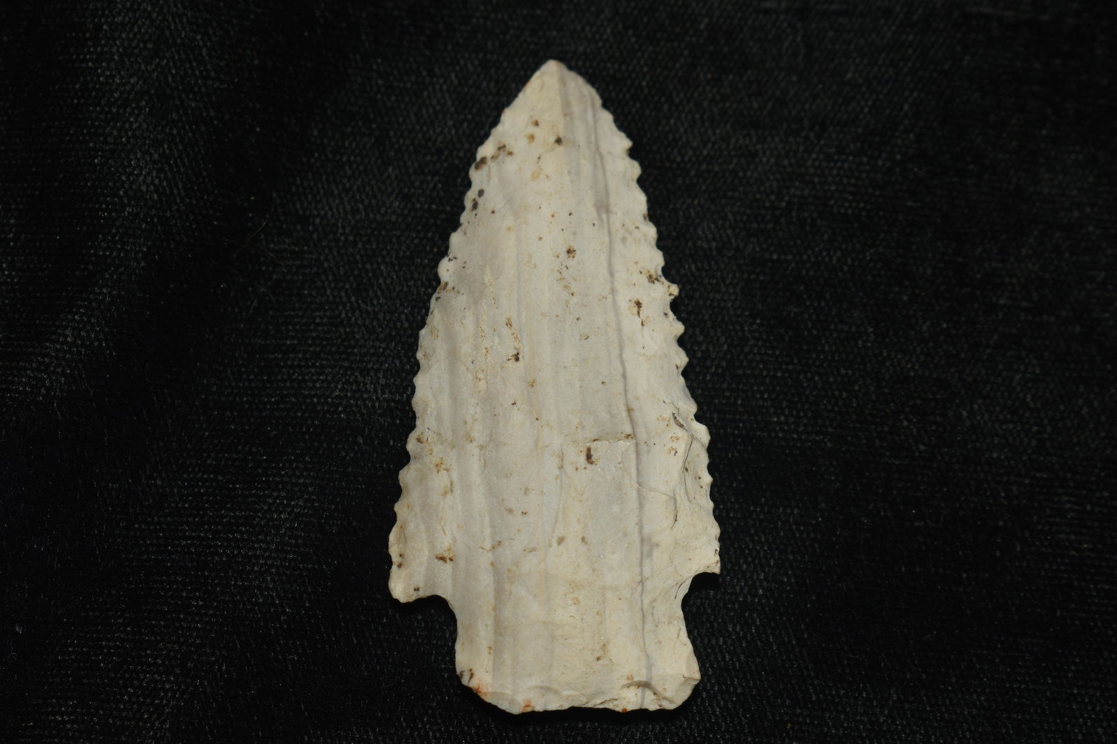 2 1/2" Serrated Mozarkite Stillwell found in Pettis Co., Mo (1 of 7)