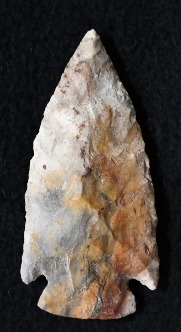 3" Colorful Cooper Arrowhead Found in Pettit Co. Missouri, Keele COA. Ex: George Wolf Collection.: 3" Colorful Cooper Arrowhead Found in Pettit Co. Missouri, Keele COA. Ex: George Wolf Collection.