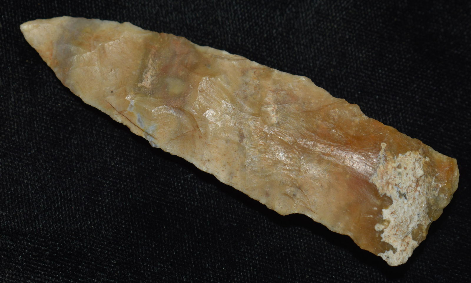 3 3/8" Etley found in Scottland County, Missouri by Rodney Gray. (1 of 7)