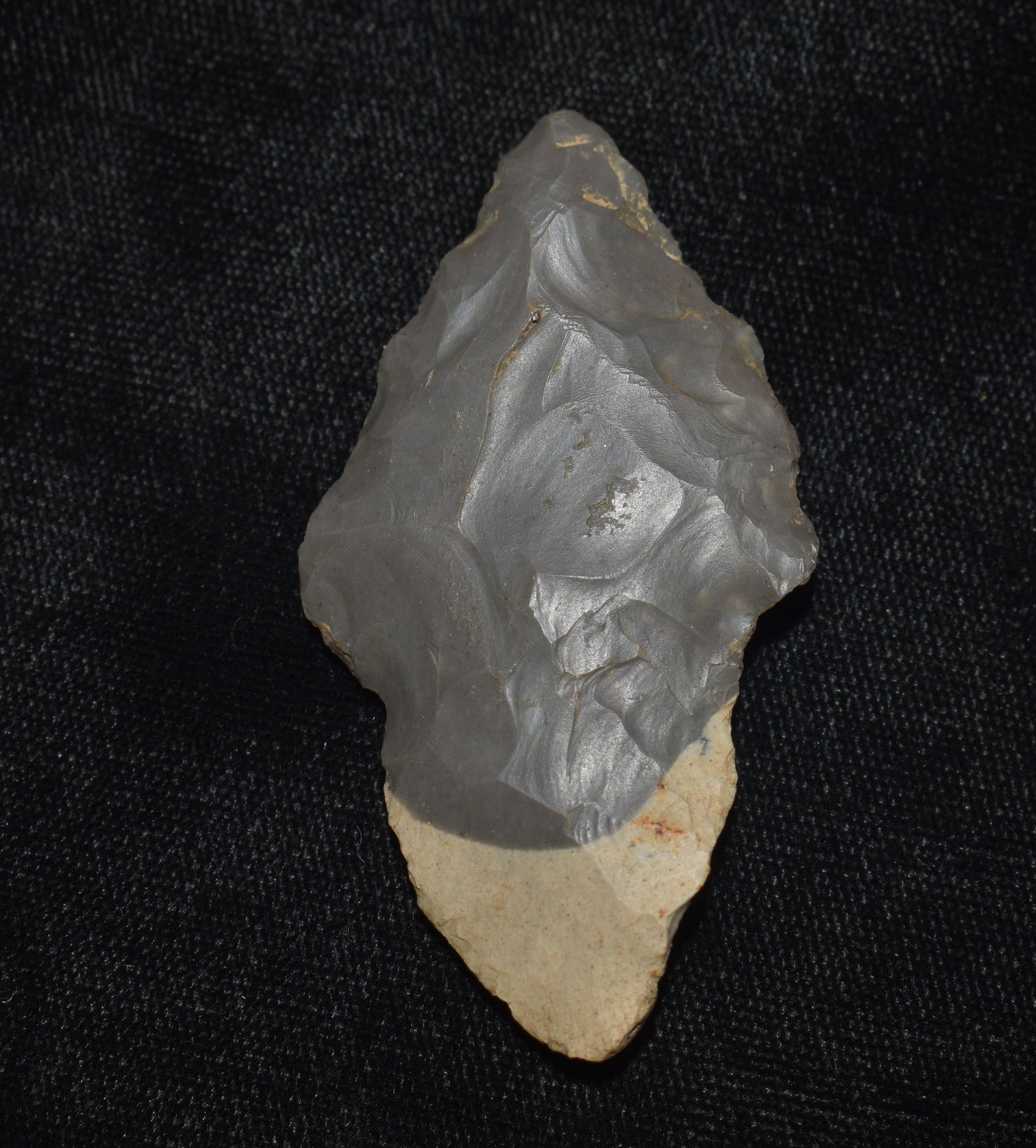 2 5/16" Harrison County Chert Turkeytail found in Kentucky w/ Keele COA (1 of 8)