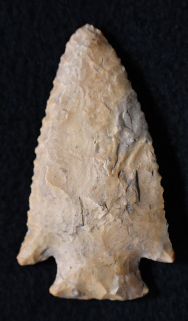 2 11/16" Short Based Hardin, Keele COA. Great Creek Stained Color, Found in Missouri Ex: Steve (1 of 9)