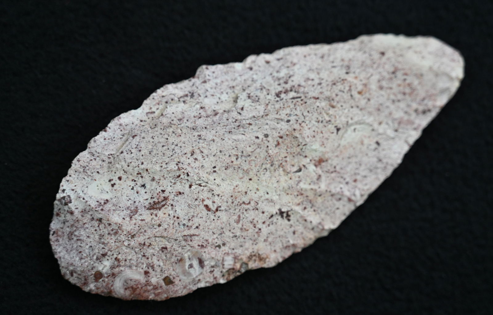 4 1/2" Cobbs Knife Found in Sullivan Co. Missouri Ex: Steve McCabe Collection. (1 of 8)