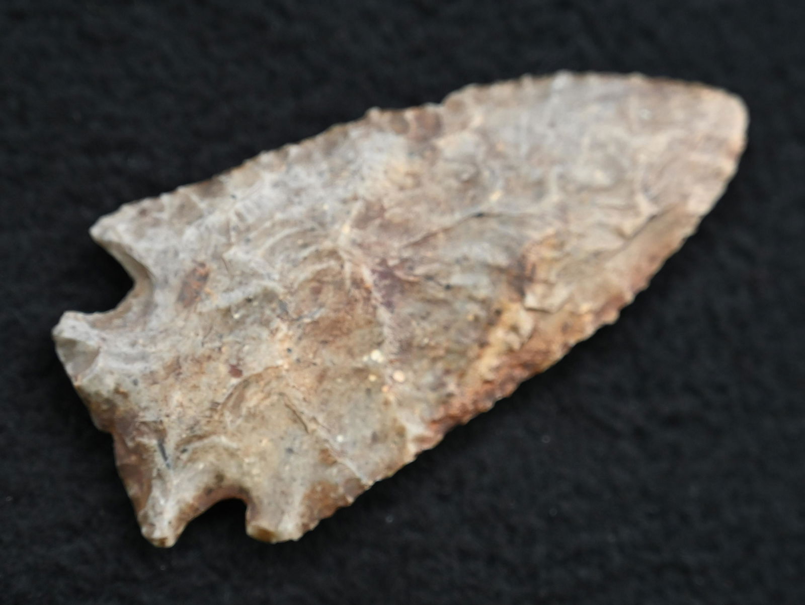 2 11/16" Short Based Hardin Found in Marion Co. Missouri. (1 of 8)