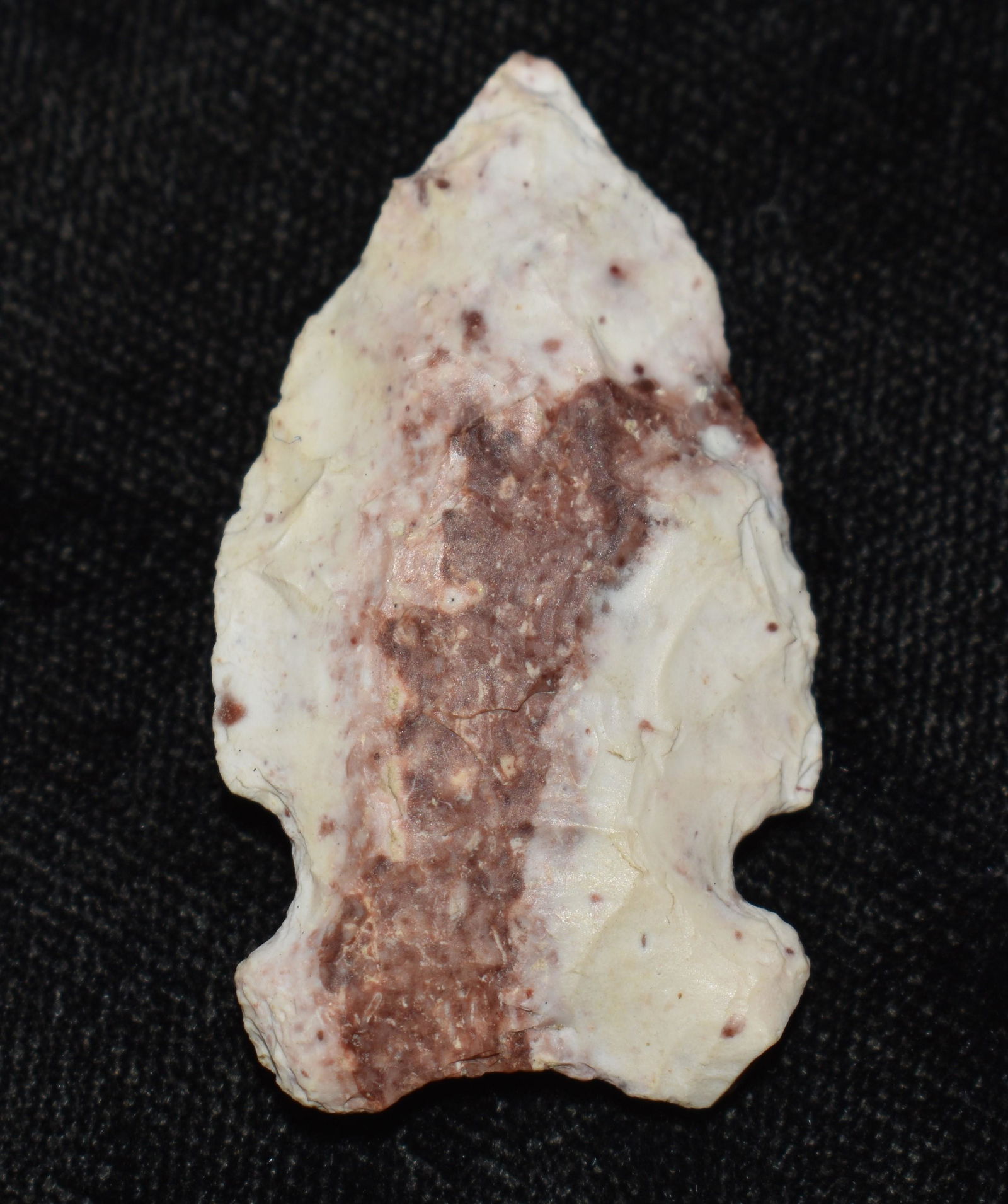1 9/16" Colorful Robinson Arrowhead found in Scottland County, Missouri by Rodney Gray. (1 of 7)