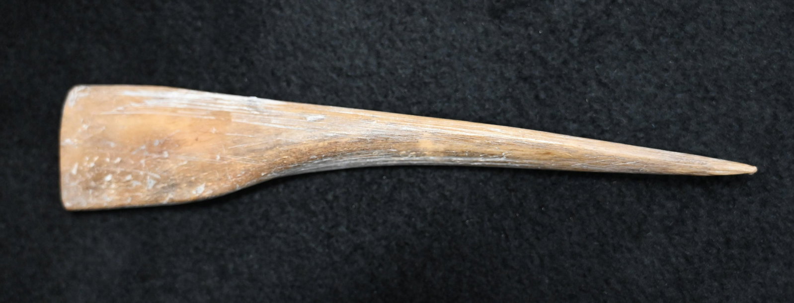 5 3/8" Heavily Polished Bone Awl Found in Clark Co. Missouri by Dale Roberts.: 5 3/8" Heavily Polished Bone Awl Found in Clark Co. Missouri by Dale Roberts.