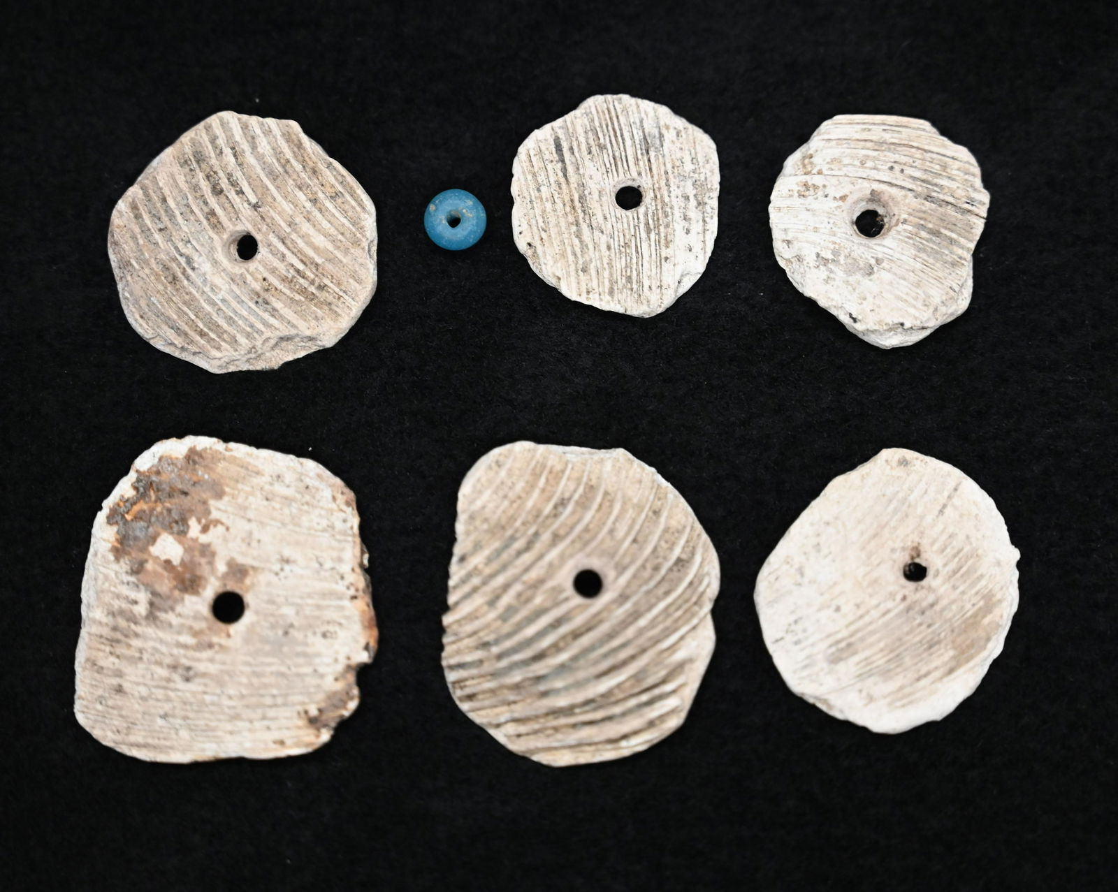 Group of 6 Shell Beads and a Small Blue Bead Found by Dale Roberts in Clark Co. Missouri.  The (1 of 4)