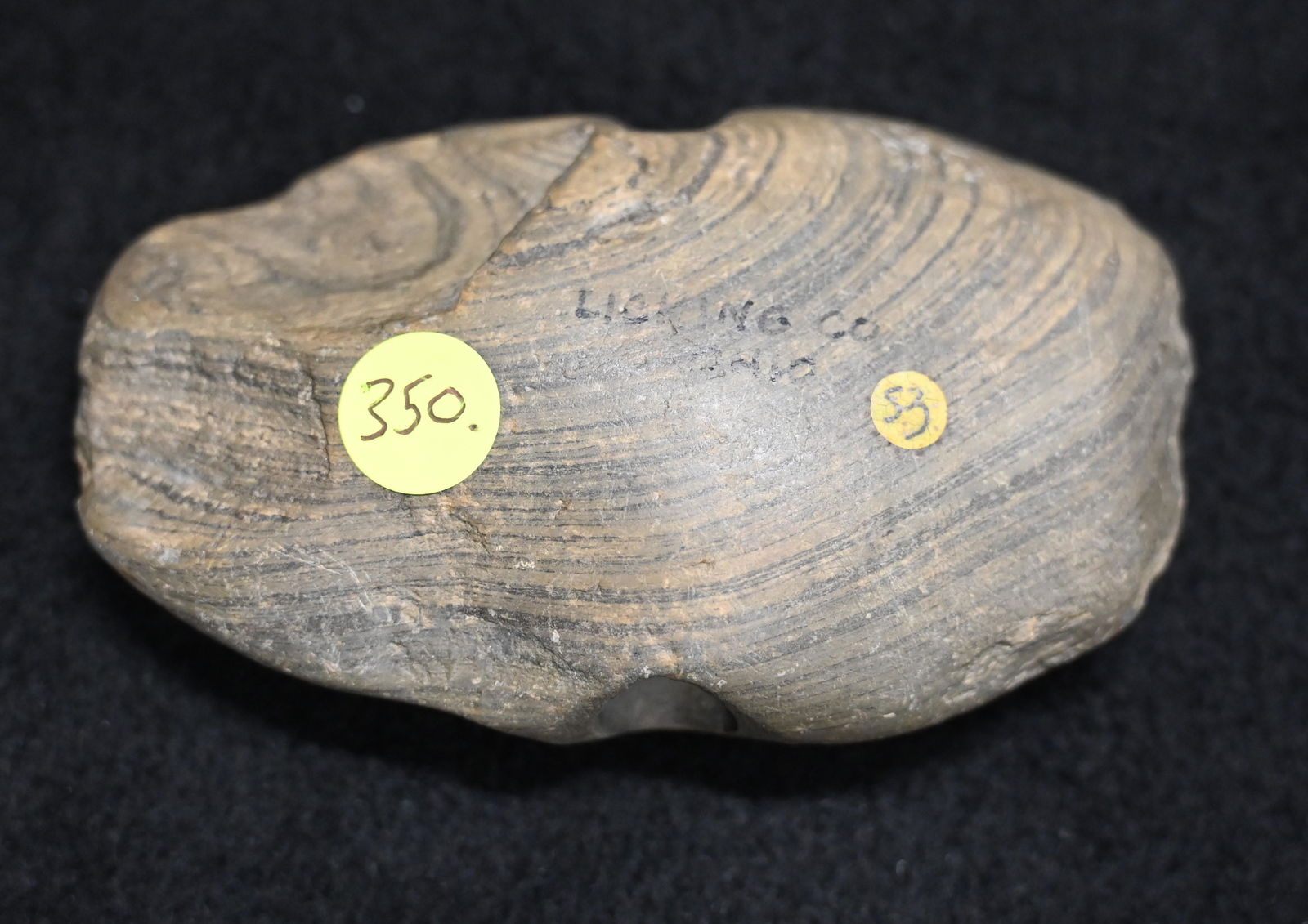 3 9/16" Slate Bannerstone Keele COA Found in Licking Co. Ohio (1 of 9)