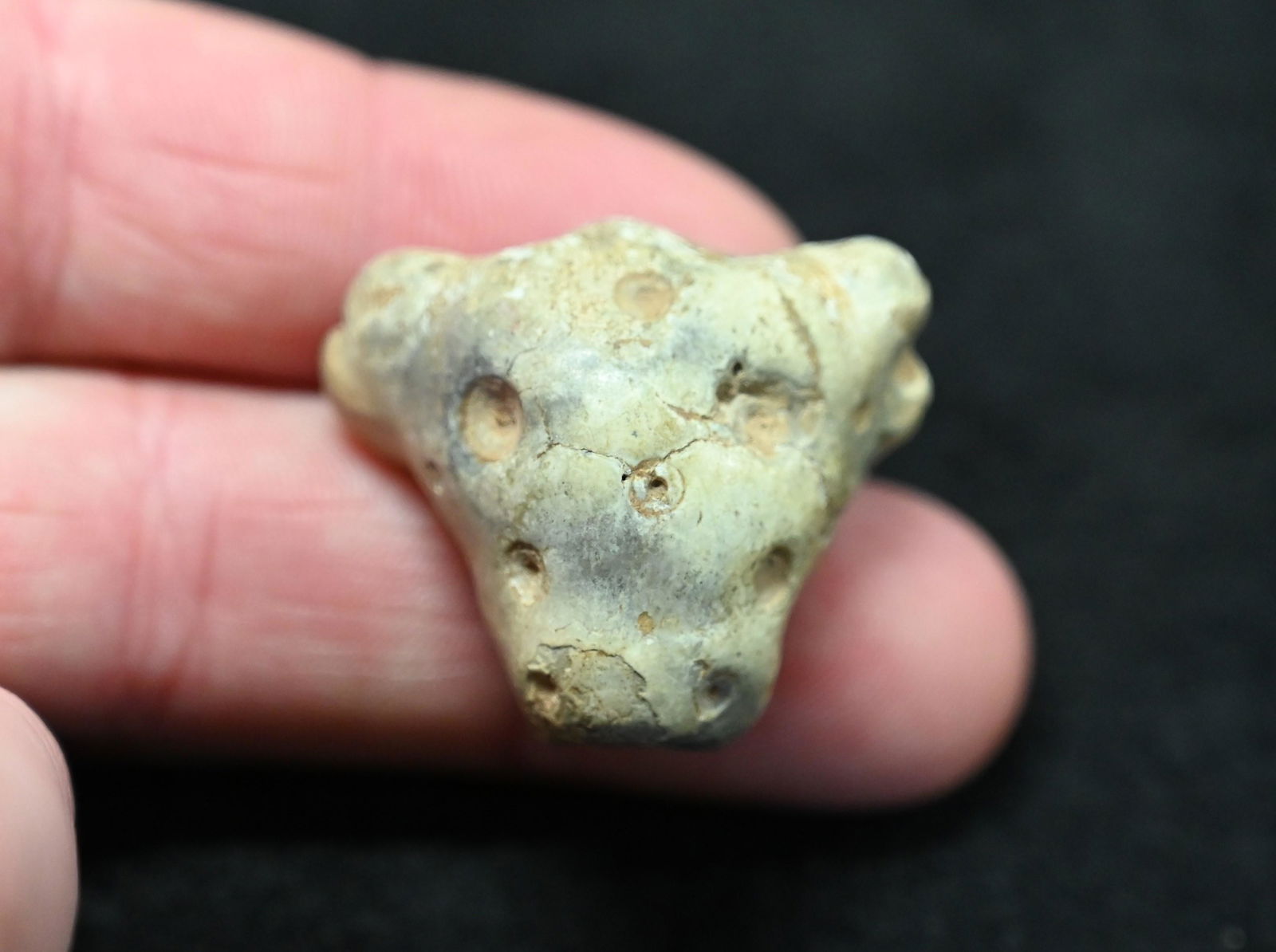 1 3/8" Jaguar Effigy Pendant Found in Florida. (1 of 5)