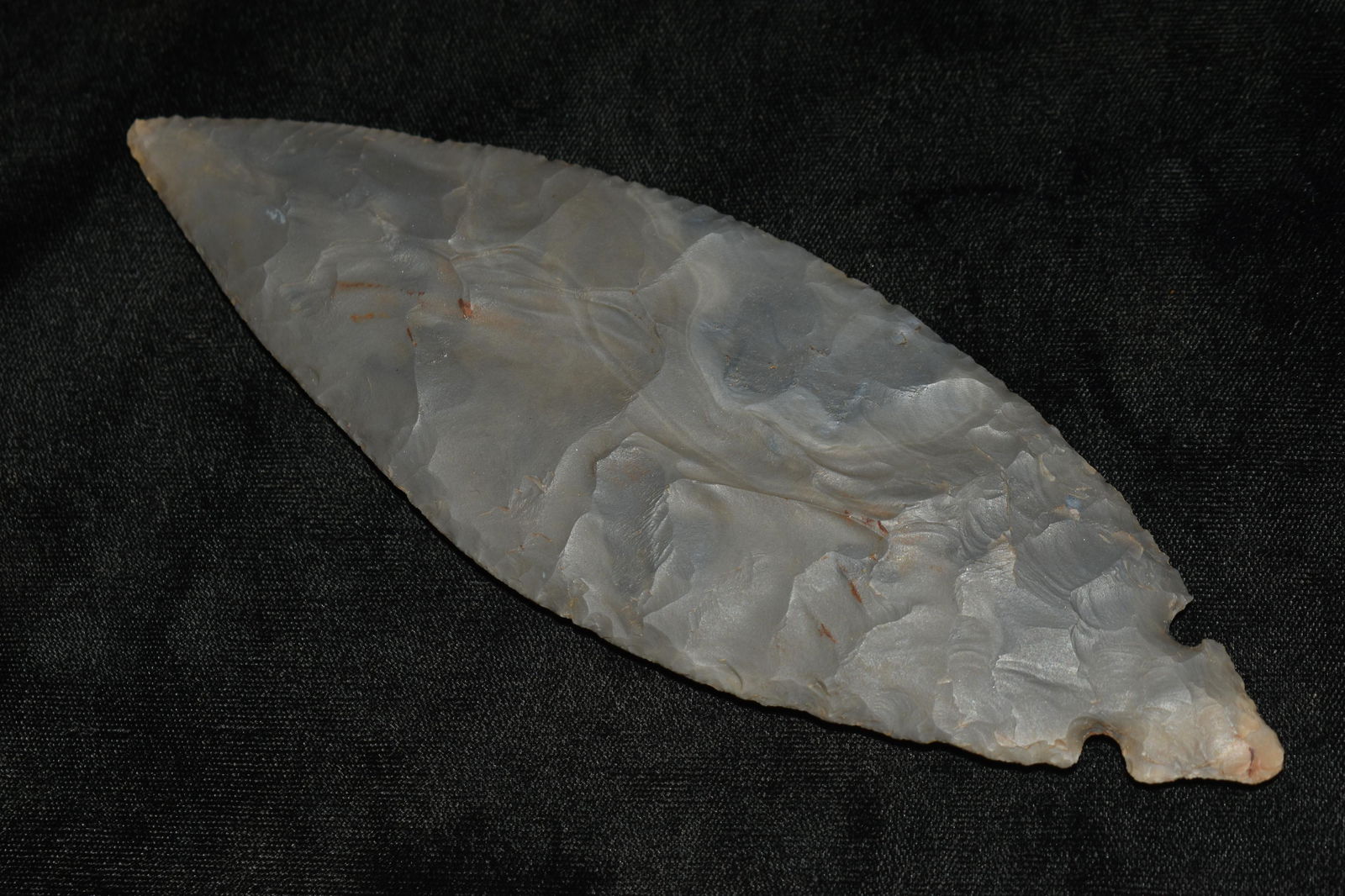 7 1/8" Modern Turkeytail w/ Insight COA (1 of 10)