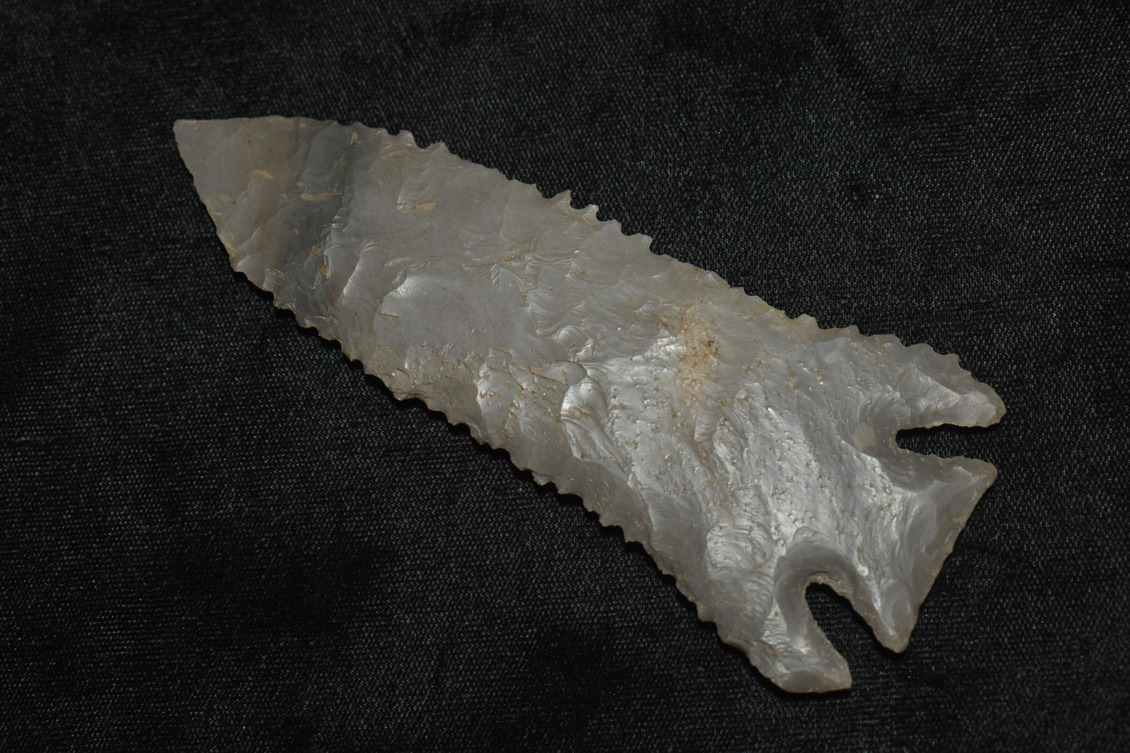 4 3/4" Modern Giant Pine Tree Made by Robby Robinson (1 of 7)