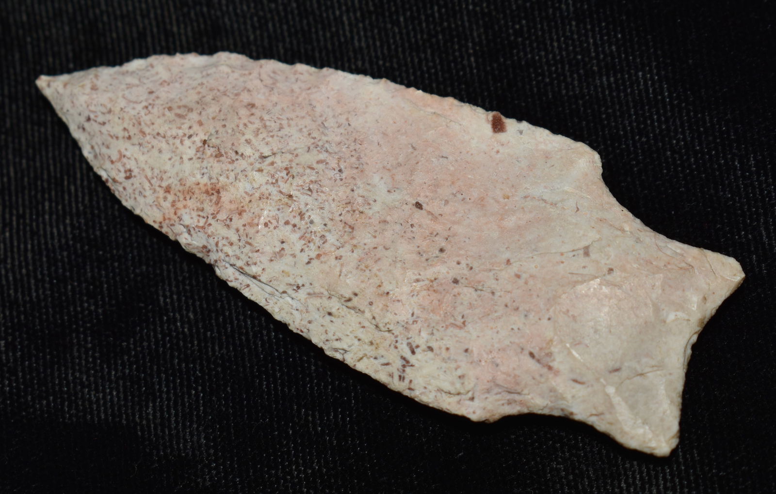 2 7/8" Johnson Arrowhead found in Pettis County, Missouri (1 of 7)