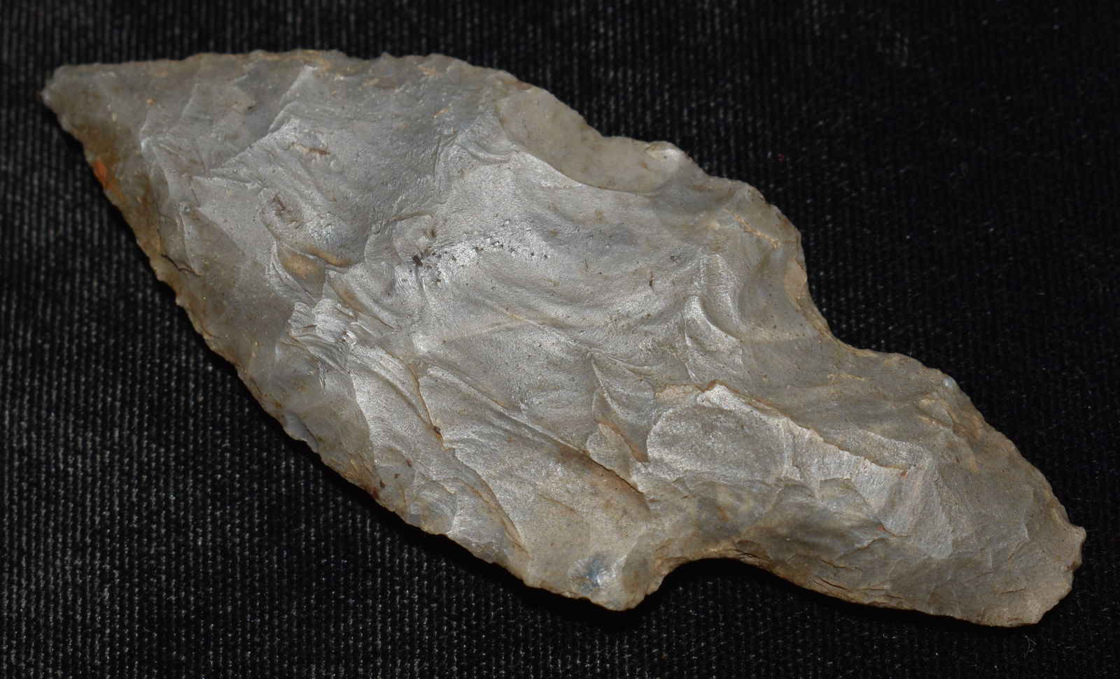 3 1/2" Harrison Turkeytail found in Saline County, Missouri in the 1920's w/ COA (1 of 8)