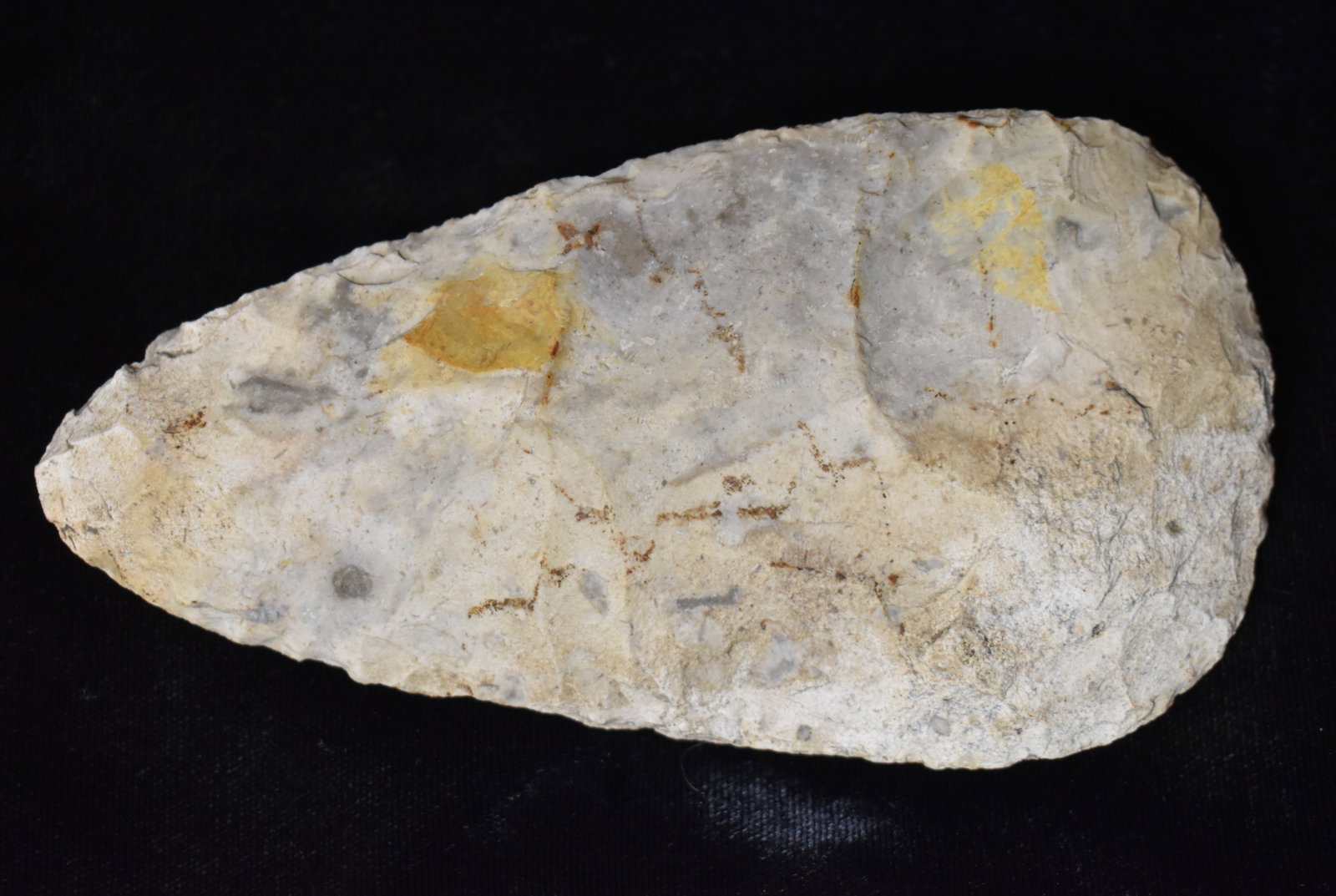 5 1/4" Burlington Spade found in Saline County, Missouri: 5 1/4" Burlington Spade found in Saline County, Missouri found by Jim Latimer in Saline County, Missouri.