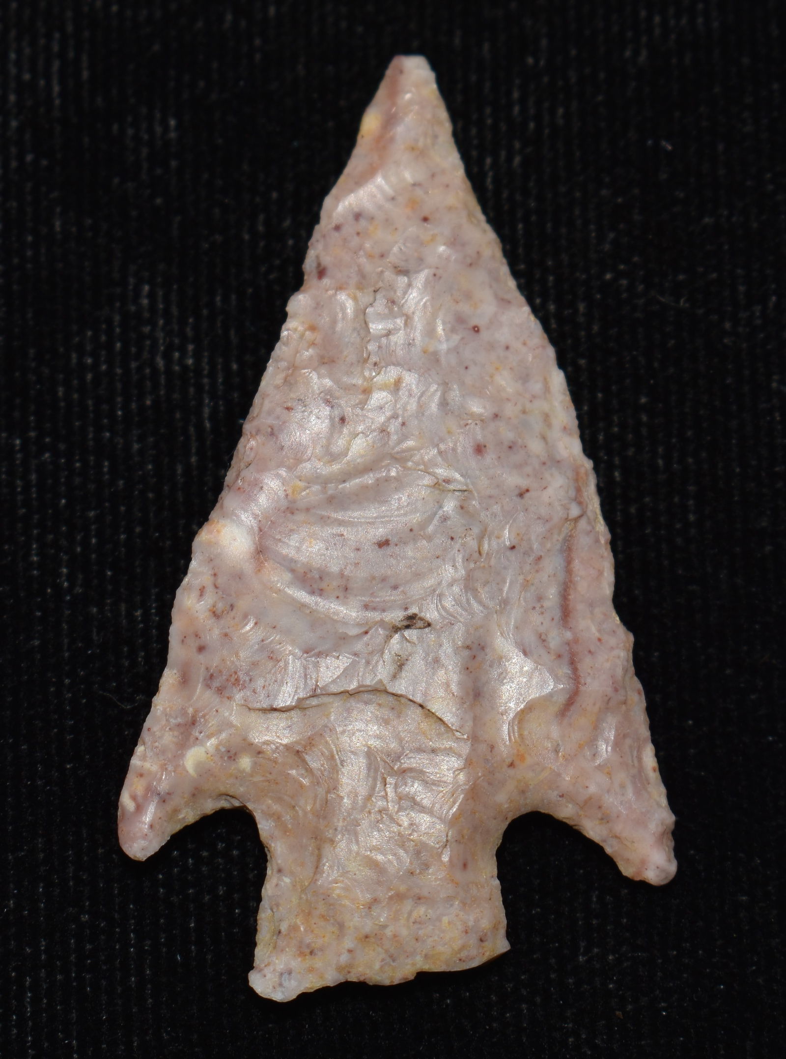 1 3/4" Colorful Stealth Arrowhead found in Boone County, Missouri (1 of 7)