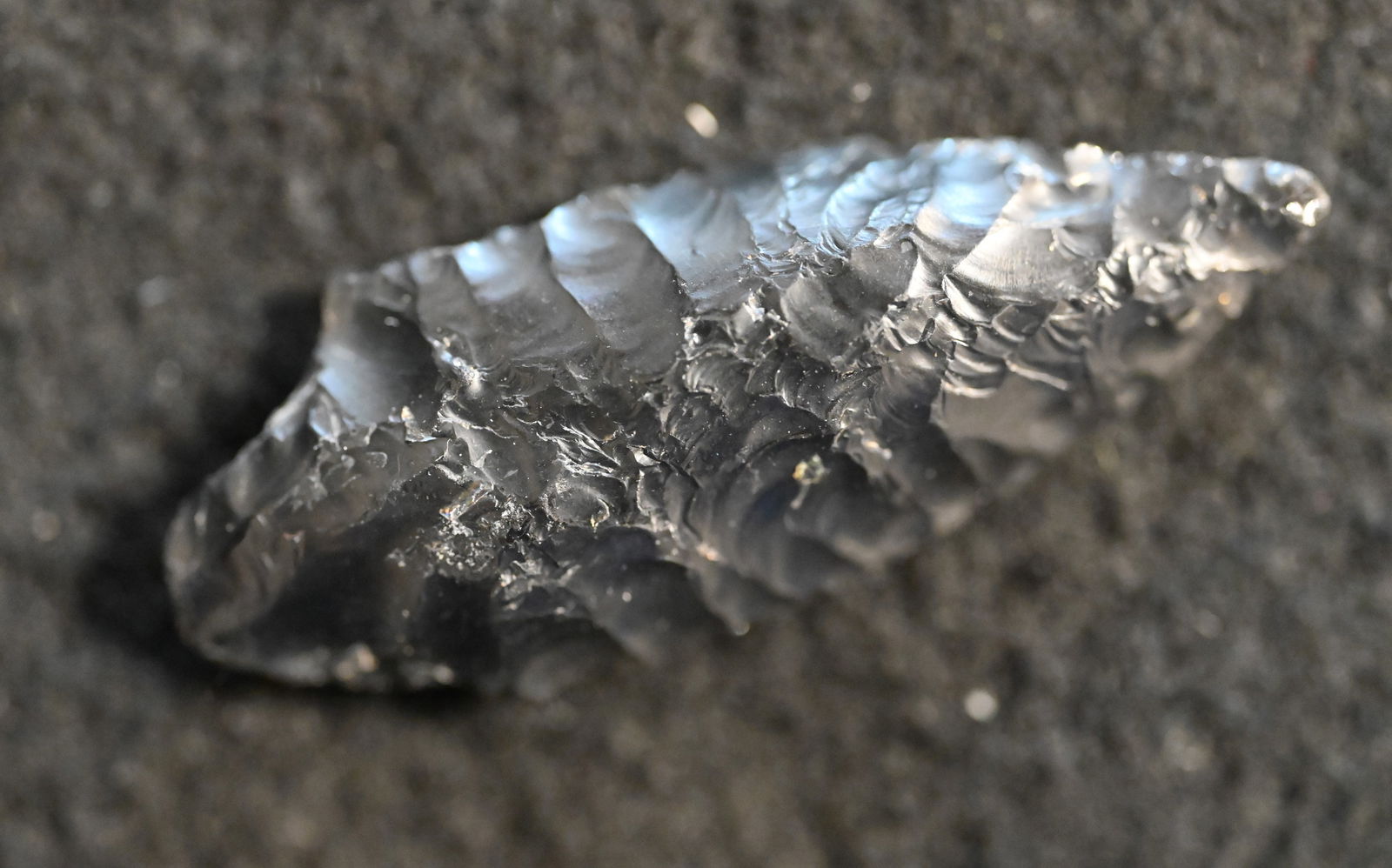 Coquille Narrow Neck Obsidian Gem Point 1 1/2" long comes with a Ryan Keele COA.: Coquille Narrow Neck Obsidian Gem Point 1 1/2" long comes with a Ryan Keele COA.