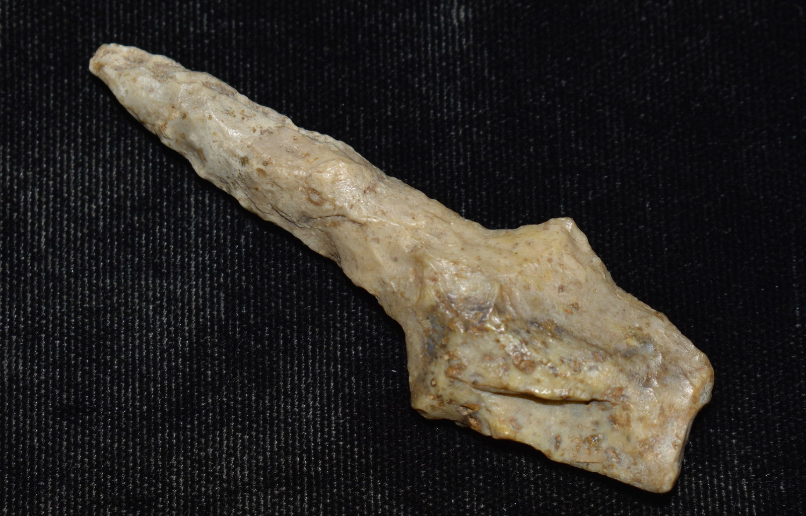 2 3/4" Sedalia Drill found in Pettis County, Missouri (1 of 7)