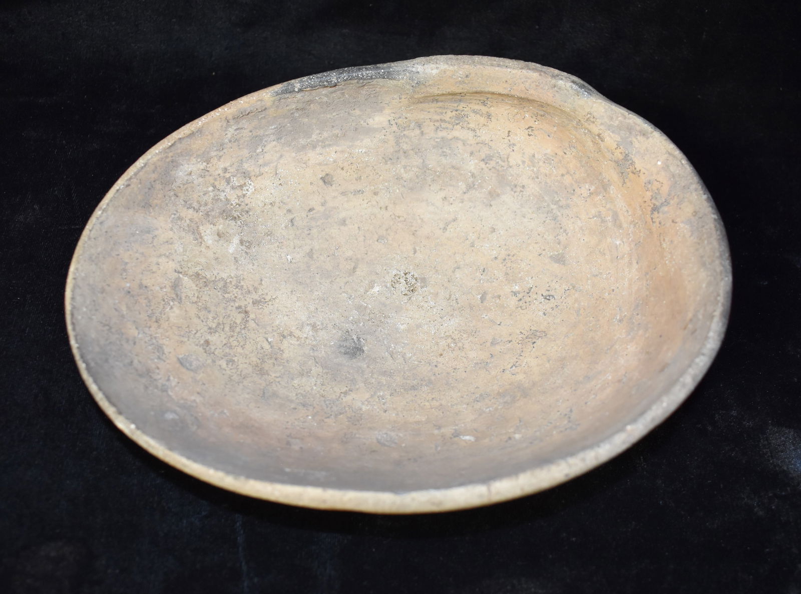 8" Mississippian Mussel Shell Effigy Bowl found in Lee Co., AR w/ COA (1 of 11)