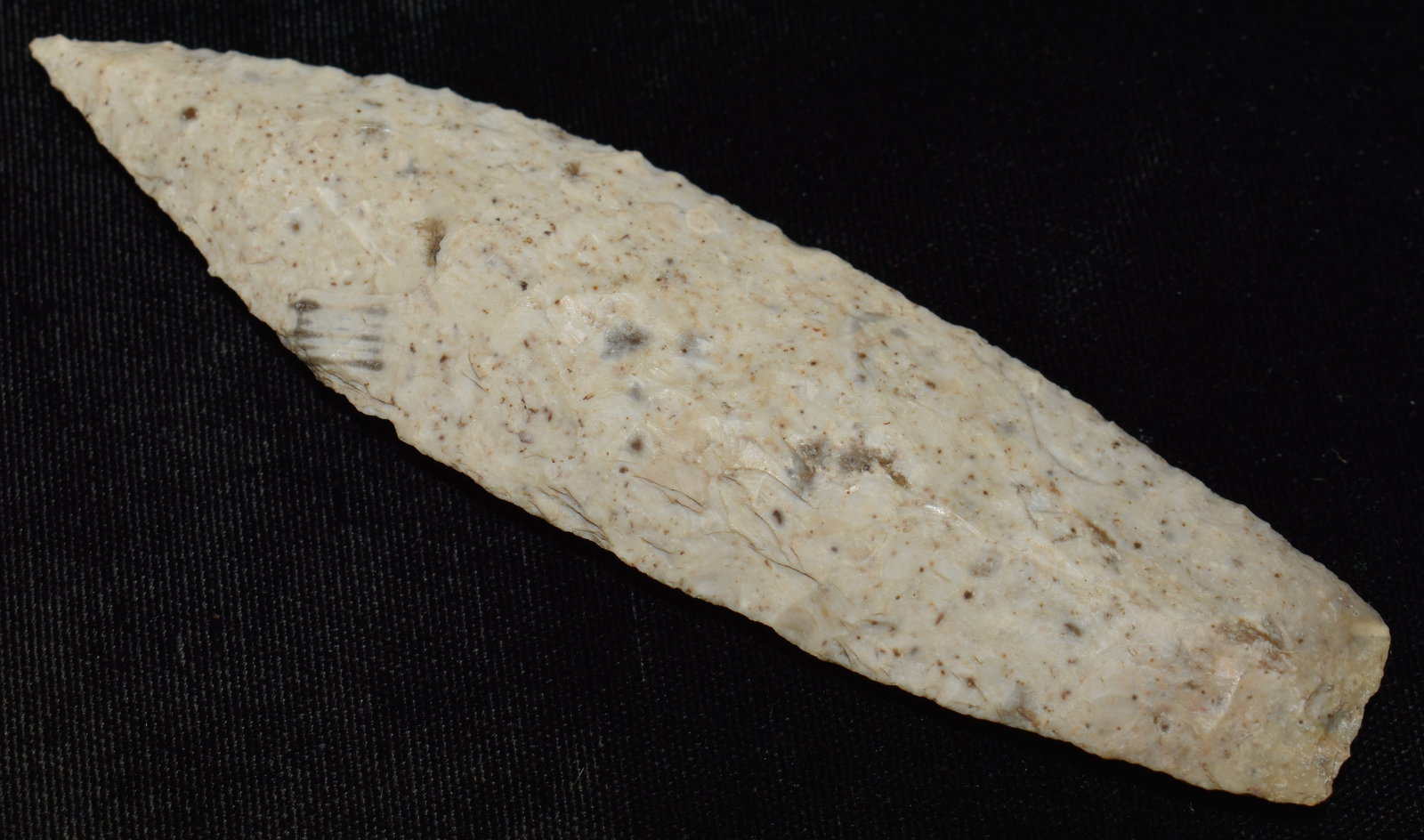 5 1/16" Sedalia found in Pettis County, Missouri w/ 2x COA's (1 of 9)