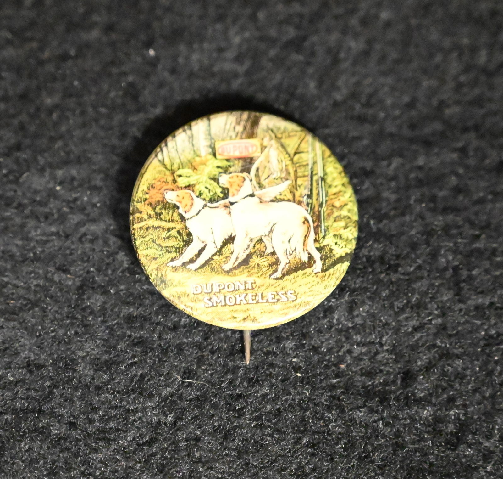 1" DuPont Smokeless Gunpowder Celluloid Pin in Great Condition. (1 of 3)